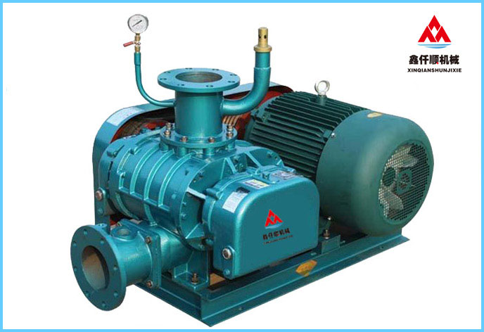 XQSSR-200AV(VH)羅茨真空泵