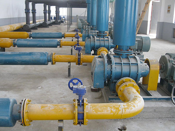 沼氣輸送羅茨風(fēng)機(jī) 化工行業(yè)用羅茨風(fēng)機(jī)沼氣輸送案例(圖1)